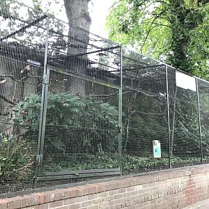 Red fronted macaw aviary