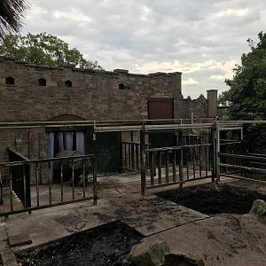 Indian rhino upper house