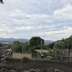 View from Indian rhino enclosure
