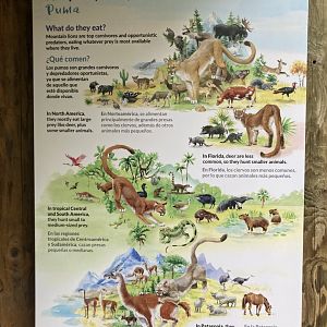 Nice Signage Illustration