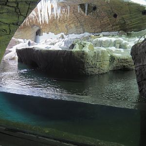 The Land of the Cold penguin cave - Now with three penguin species, 2022-06-28