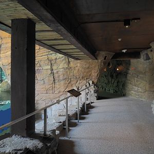 The Land of the Cold penguin cave - Visitor area, 2022-06-28