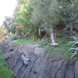 Lemur Exhibit (3 Species)
