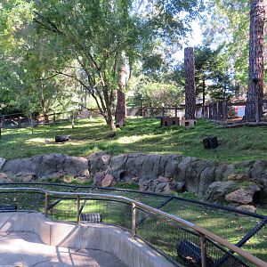 Domestic Rabbit Exhibit