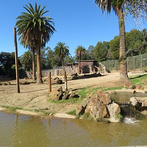 African Savanna Exhibit