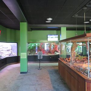 Reptile and Amphibian Discovery Room