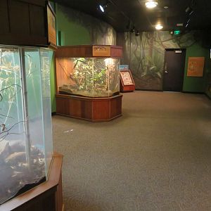 House of Bugs (20 Species)