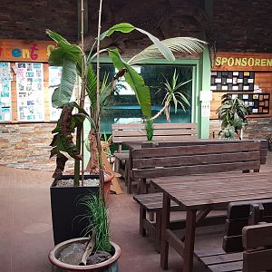 Infront Nile crocodile exhibit