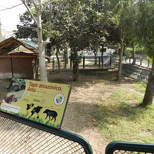 Brazilian tapir exhibit I - Parque Zoológico Huachipa