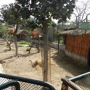 Brazilian tapir exhibit II - Parque Zoológico Huachipa
