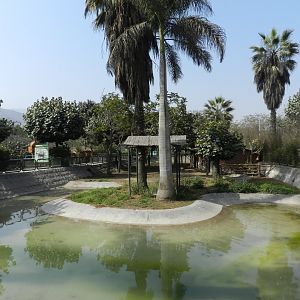 Brazilian tapir exhibit III - Parque Zoológico Huachipa