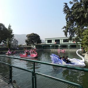 View of the lake - Parque Zoológico Huachipa