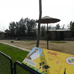 "La sabana" exhibit - Parque Zoológico Huachipa