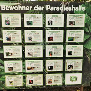 Paradieshalle species sign 4th of September 2022
