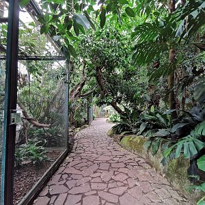 Jungle Trail - Path with aviaries