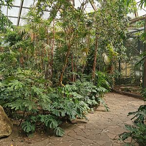 Jungle Trail - Path with aviary