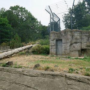 Enclosure of snow leopard