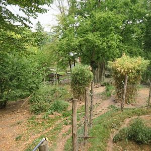 Enclosure of striped hyena