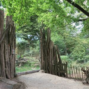 Enclosure of striped hyena