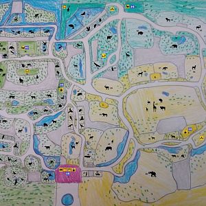 Double zoo: 2022 edition