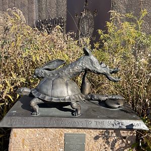 Tortoise and Hare Statue