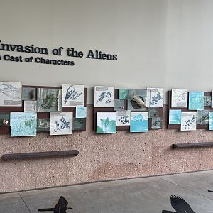 Invasive Species Signage