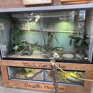 Snake Terrariums