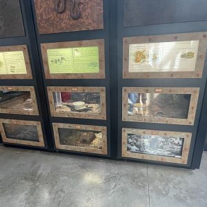 Venomous Snake Terrariums