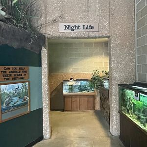 Night Life Entrance