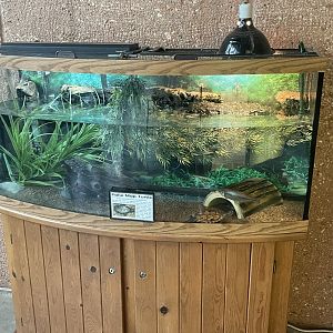 False Map Turtle Tank