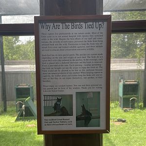 Bird Of Prey Signage