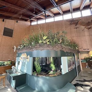 Nature Center Overview