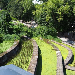 Rice terraces theming in The Kingdom of Ganesha, 2022-06-28