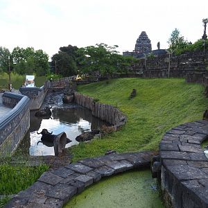 The Kingdom of Ganesha rice terraces and Water buffalo/Visayan warty pig exhibit, 2022-06-28