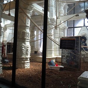 Interior of the Flower Temple - Sumatran orangutan indoor housing, 2022-06-28