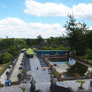 View from the Flower Temple - Eating area area and pond, 2022-06-28