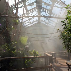 Mist in South America House