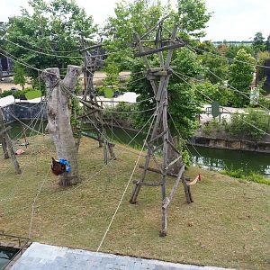 Sumatran orangutan island seen from the top of the Flower Temple, 2022-06-28