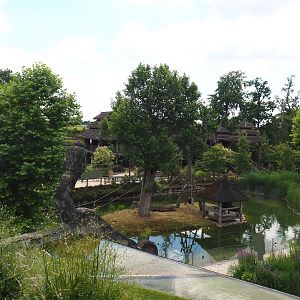 Sumatran orangutan island seen from the top of the Flower Temple, 2022-06-28