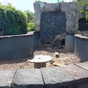 Secondary Indian crested porcupine exhibit, former wombat exhibit, 2022-06-28