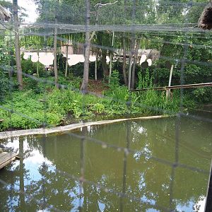 Shoebill aviary next to the African stilt village, 2022-06-28