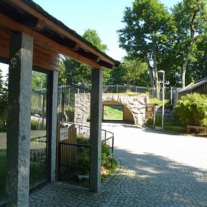 Siberian tiger viewing point