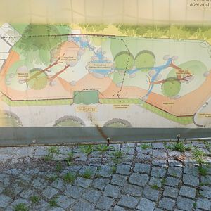 New African lion enclosure