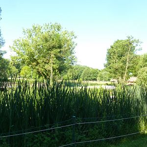Donau aquarium viewing point