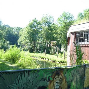 White-handed gibbon island