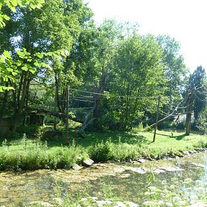 White-handed gibbon island