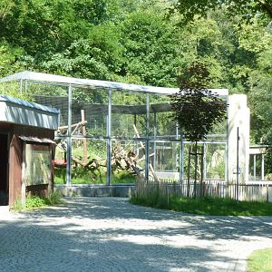 Black and white ruffed lemur exhibit