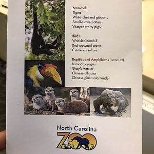 NC Zoo: Asia Groundbreaking Ceremony Partial Species List