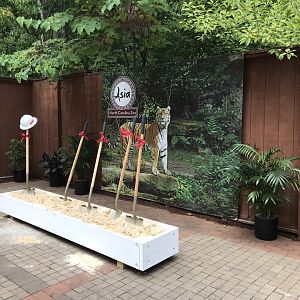 NC Zoo: Asia Groundbreaking Ceremony Shovels