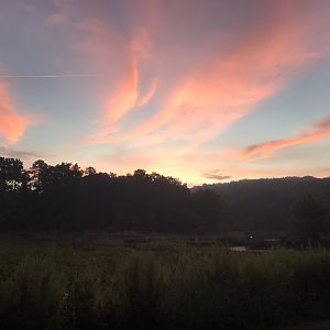 NC Zoo: North America Snorin' Safari Sunrise